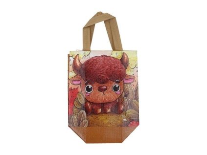 Dárková taška XS 22 x 23 x 11 cm Dětská - netkaná textilie