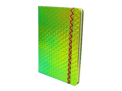 Záznamová kniha A5 Elegance, 96 listů. linkovaná