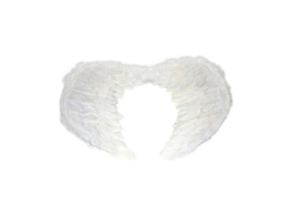 Andělská křídla velká 35x58 cm