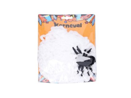 Pavučina s pavoukem