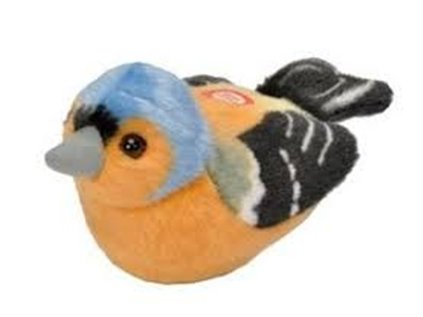 Plyš ptáci Pěnkava