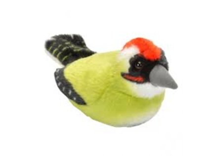 Plyš ptáci Žluna zelená