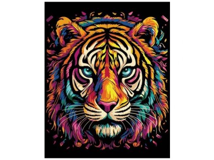 Malování na černé plátno 40 x 50 cm, tygr