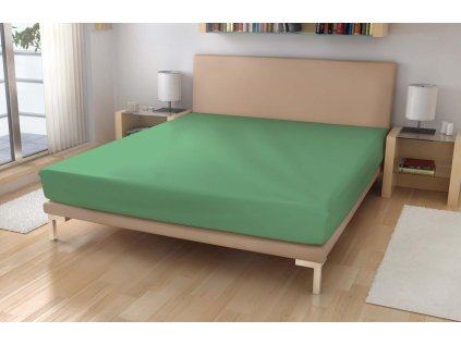 PP 51034 frote90 olivova