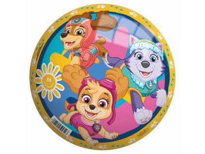 Míč Paw Patrol 230mm