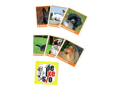 MP pexeso BOX LUX Psi