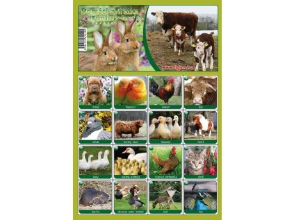 MP pexeso A4 Domácí zvířátka