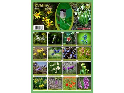 MP pexeso A4 Květiny
