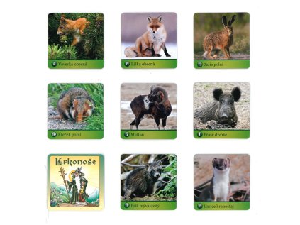 MP pexeso BOX LUX Krkonoše