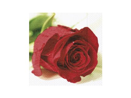 Ubrousky GOMAR L (20ks) Sugared strawberries