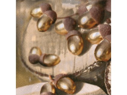Ubrousky Paper Design L (20ks) Golden acorns