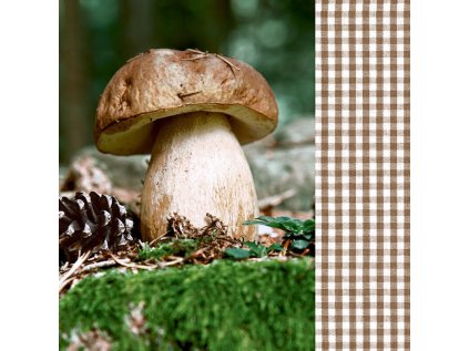 Ubrousky GOMAR L (20ks) Lets go mushrooming