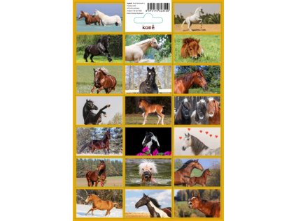 Samolepky Koně