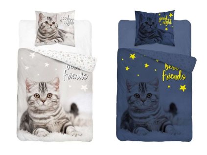 DL 032572 povleceni best friends kote svitici b