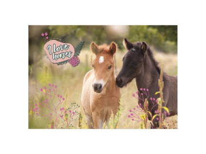 Modelovací podložka 49,5 x 34,5 cm Koně