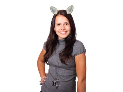 Párty zvířecí uši na sponce 2 ks