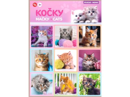 Pexeso Kočky