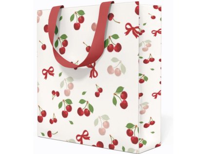 Papírová taška Anna Style CD TE7/265