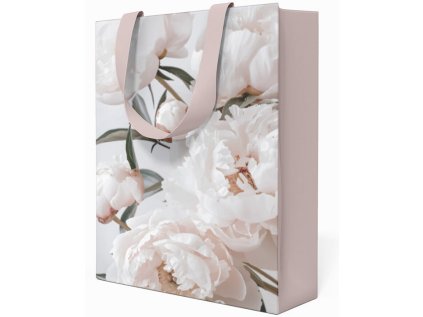 Papírová taška Anna Style TP1 263 střední