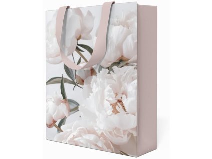 Papírová taška Anna Style TP3 263 velká