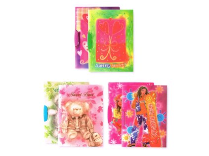 obal bf51 a4 detsky swingclip