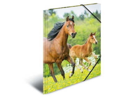 deska s gumickou pp a4 horses