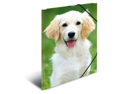 deska s gumickou pp a3 dogs