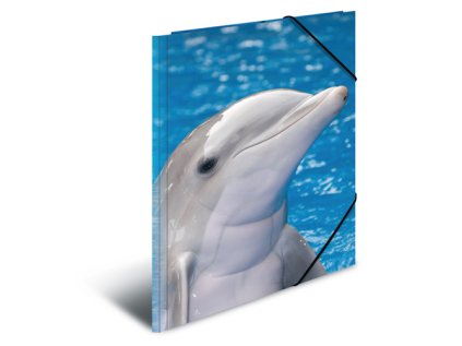deska s gumickou pp a3 delphins