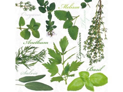 ubrousky paw l 33x33cm herbal taste