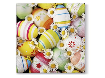 obrousky tat 33x33cm daisies among eggs