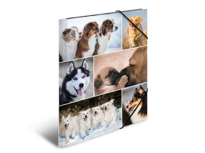 deska s gumickou a3 karton psi