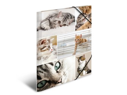 deska s gumickou a3 karton kocky