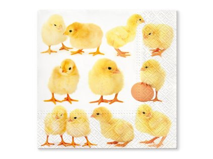 ubrousky tat 33x33 cm little chicken