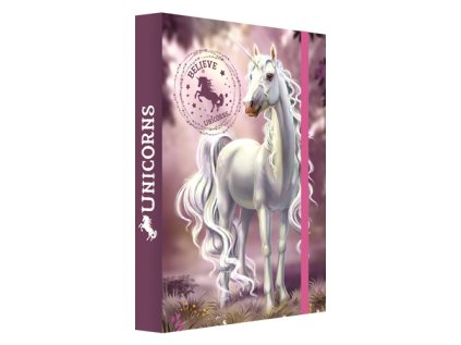 box na sesity a4 jumbo believe in unicorns