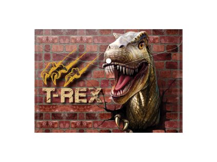 obal pp s patentem a4 t rex