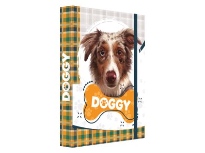 box na sesity a4 jumbo doggy