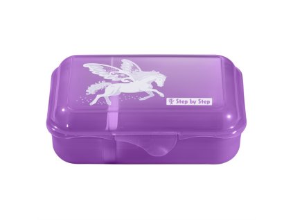 krabicka na svacinu step by step zasneny pegas