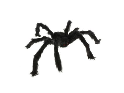 pavouk cerny 60 cm