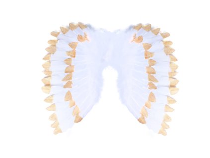 andelska kridla s perim bilo zlate