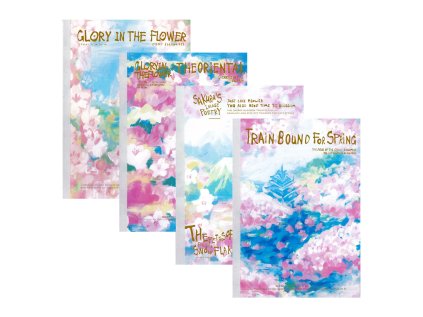 sesit linkovany 40 listovy b5 m g 4 designy