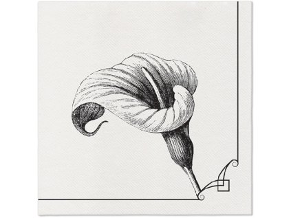 ubrousky paw airlaid 40x40 cm memory flower