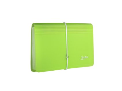 organizer na dokumenty s gumou dl opaline cira zelena 13kapes
