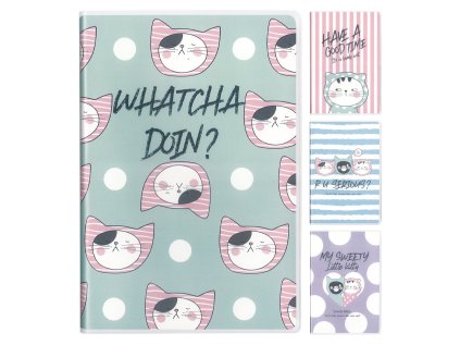 sesit linkovany b5 m g 96 listovy s plast obalem so many cats pastel 4 designy