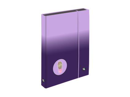 box na sesity a4 jumbo oxy next ombre purple