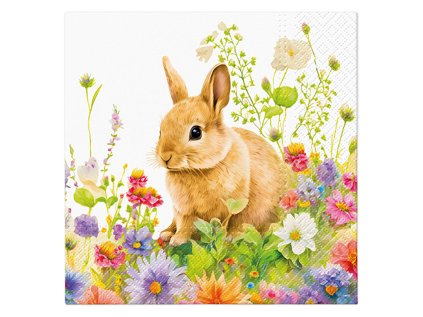 ubrousky paw l 33x33cm spring morning