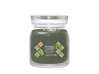 svicka yankee candle olive cypress stredni