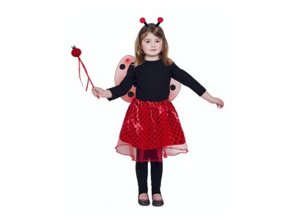 detsky kostym beruska sukne kridla celenka hulka velikost 90 120 cm