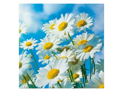 ubrousky tat 33x33cm lacy frame gold