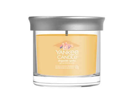 svicka yankee candle slopeside spritz mala