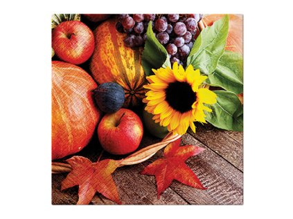 ubrousky paw l 33x33cm autumn treasures